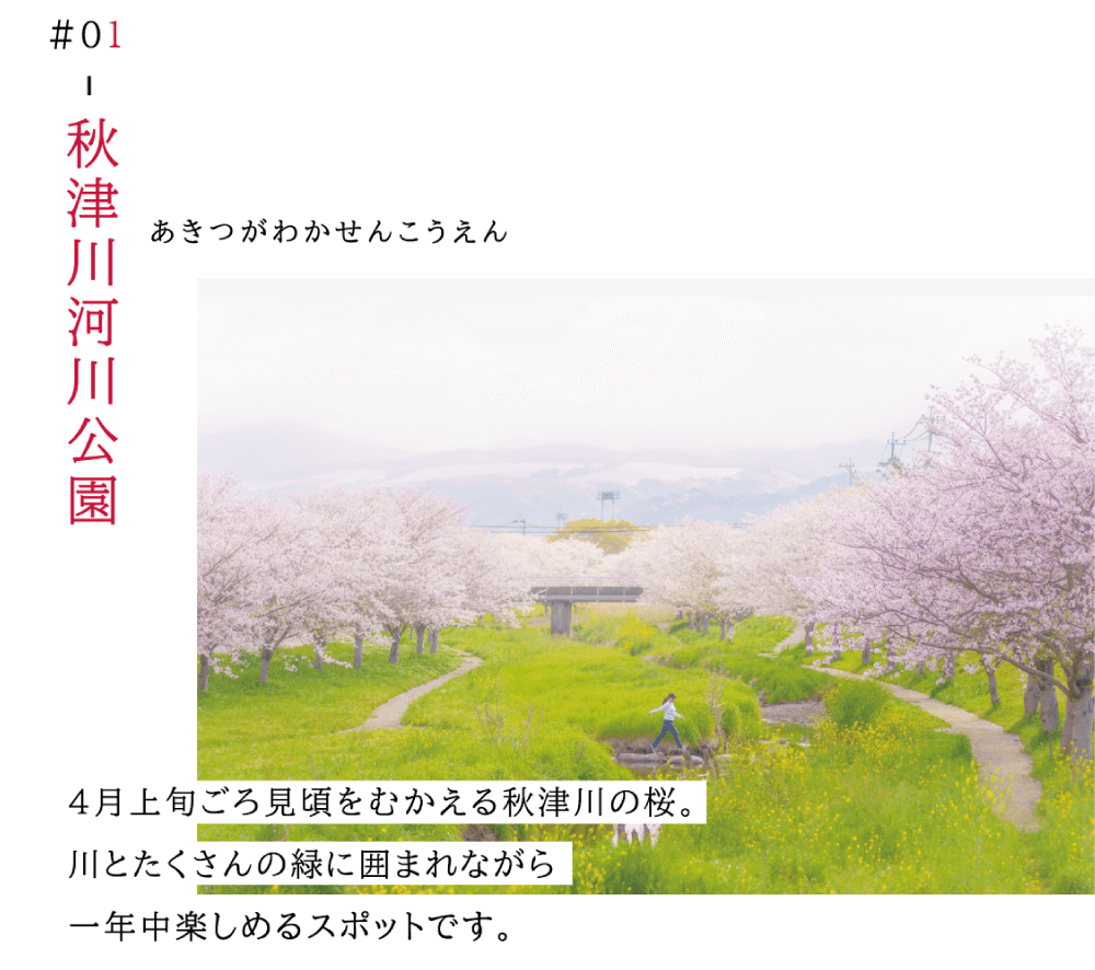 01秋津川河川公園（あきつがわかせんこうえん）　4月上旬ごろ見ごろを迎えるあきつがわの桜。 川とたくさんの緑に囲まれながら一年中楽しめるスポットです。 （あきつがわと桜の写真）