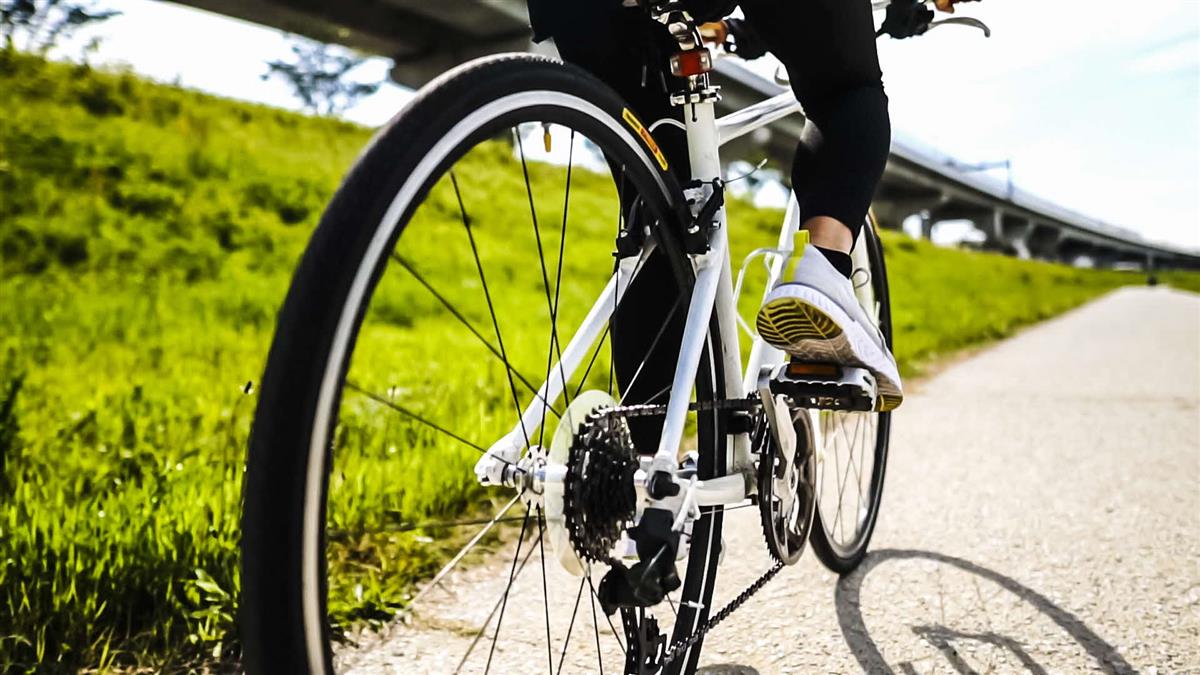 自転車保険の画像
