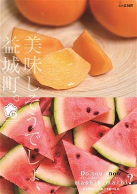 益城町の今を知っていますか１