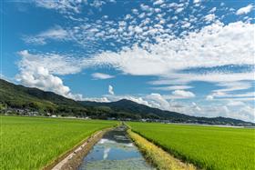 美しき益城町