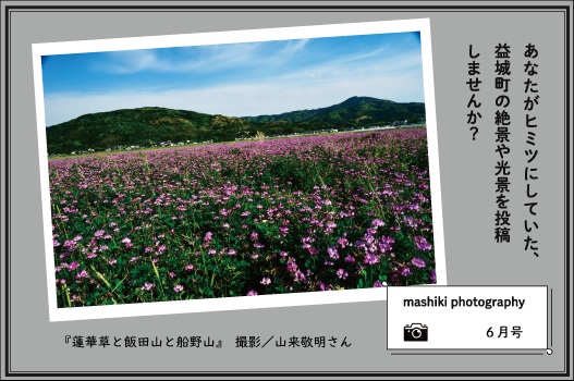 マシキフォトグラフィー6月号『蓮華草と飯田山と船野山』
