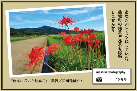 マシキフォトグラフィー10月号『畦道に咲いた彼岸花』