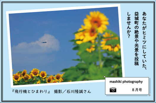 マシキフォトグラフィー8月号『飛行機とひまわり』