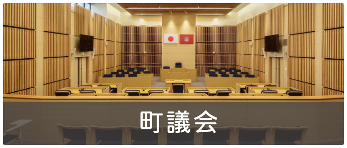 町議会