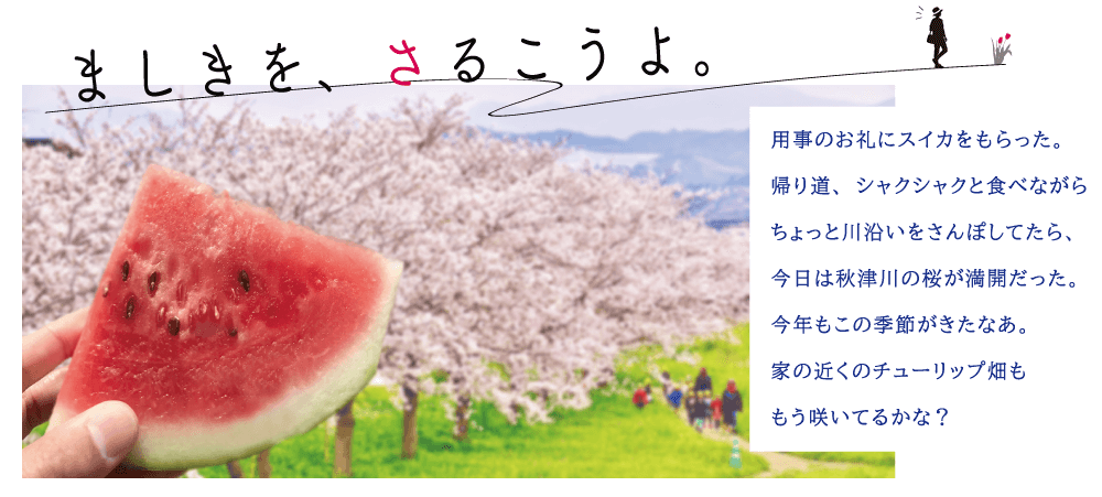 ましきを、さるこうよ