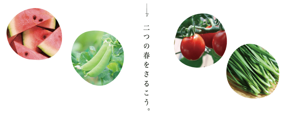 二つの春をさるこう