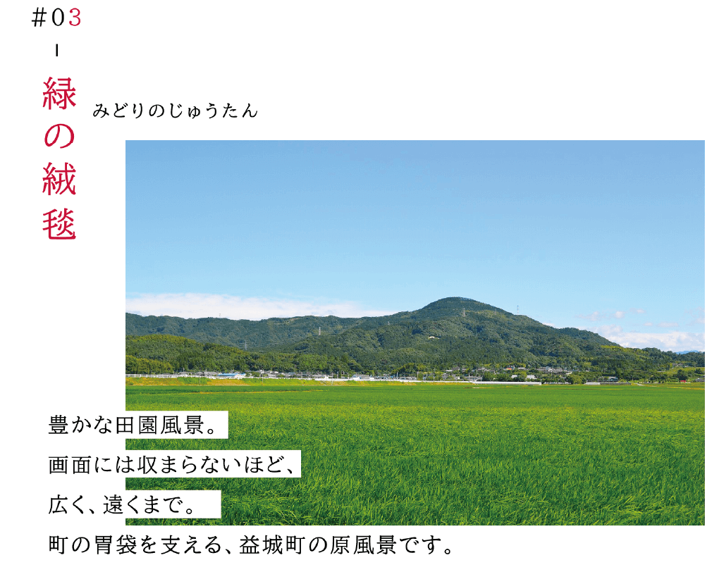 03緑の絨毯 豊かな田園風景。画面には収まらないほど、広く、遠くまで。 町の胃袋を支える、益城町の原風景です。主に、益城町の南部に広がっています。 （青々と茂る田んぼと、山の写真）