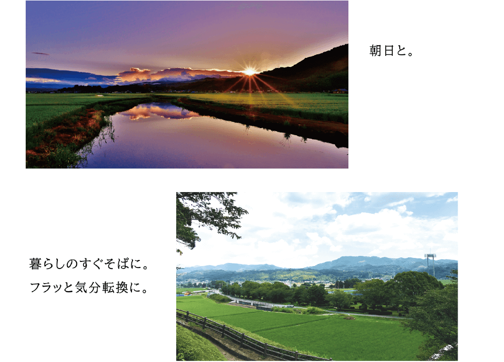 朝日と。暮らしのすぐそばに。フラッと気分転換に。 （明け方の川辺に朝日が差し込む写真と、青々と茂る田んぼの写真）