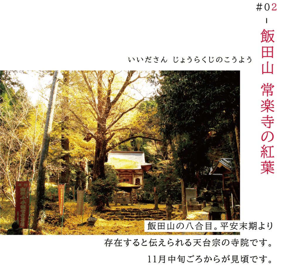 02　飯田山常楽寺の紅葉（いいださんじょうらくじのこうよう） 飯田山の八合目。平安末期より存在すると伝えられる天台宗の寺院です。 11月中旬ごろからが見ごろです。 （イチョウの落葉が黄色い絨毯のように美しい、常楽寺の写真）