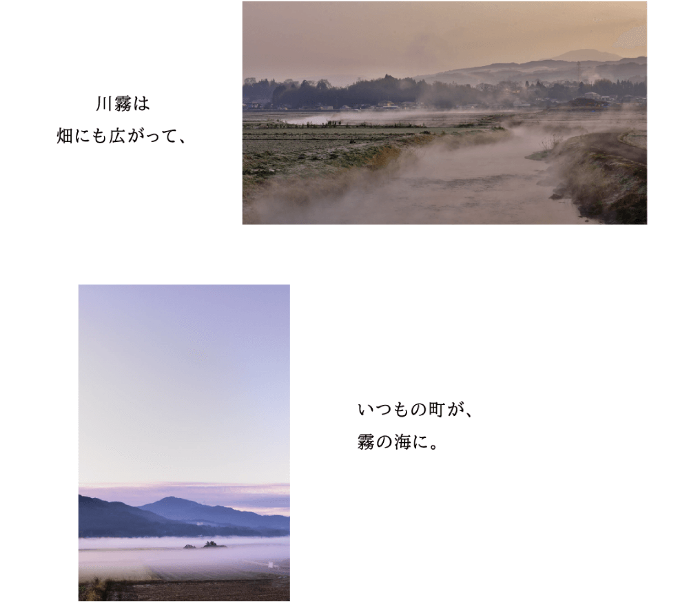 川霧は、畑にも広がって、いつもの町が、霧の海に。 （川から霧が立ち上がり、畑や町に広がっている幻想的な写真）