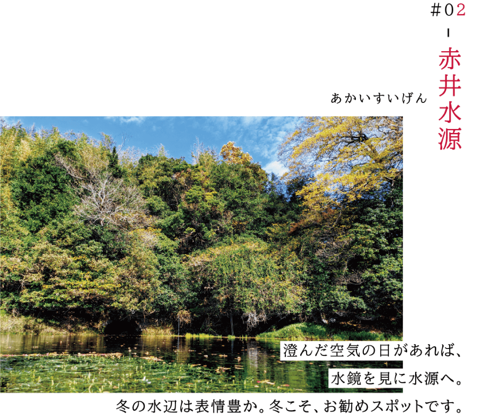 02　赤井水源（あかいすいげん） 澄んだ空気の日があれば、水鏡を見に水源へ。 冬の水辺は表情豊。冬こそ、お勧めスポットです。 （赤井水源全景写真）