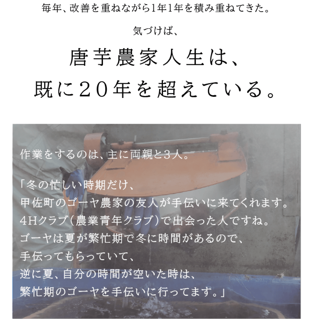 毎年、改善を重ねながら1年1年を積み重ねてきた。気づけば 唐芋農家人生は既に20年を超えている。 作業をするのは主に両親と3人。 「冬の忙しい時期だけ、甲佐（こうさ）町のゴーヤ農家の友人が手伝いに来てくれます。 4Hクラブ（農業青年クラブ）で出会った人ですね。 ゴーヤは夏が繁忙期で冬に時間があるので、手伝ってもらっていて、 逆に夏、自分の時間が空いた時は、繁忙期のゴーヤを手伝いに行ってます。