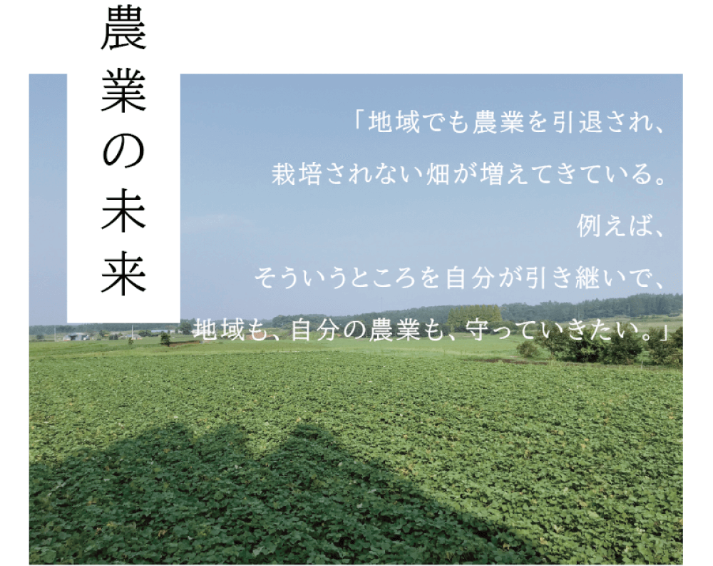 農業の未来 「地域でも農業を引退され、栽培されない畑が増えてきている。 例えば、そういうところを自分が引き継いで、地域も、自分の農業も、守っていきたい。」 （広大な唐芋畑に青々と葉が茂っている写真）