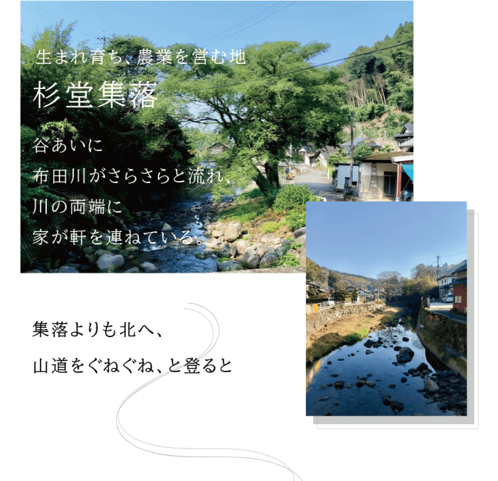 生まれ育ち、農業を営む地　杉堂集落　谷あいに布田川がさらさらと流れ、川の 両端に家が軒を連ねている。集落よりも北へ、山道をぐねぐね、と登ると （杉堂集落の風景画像）