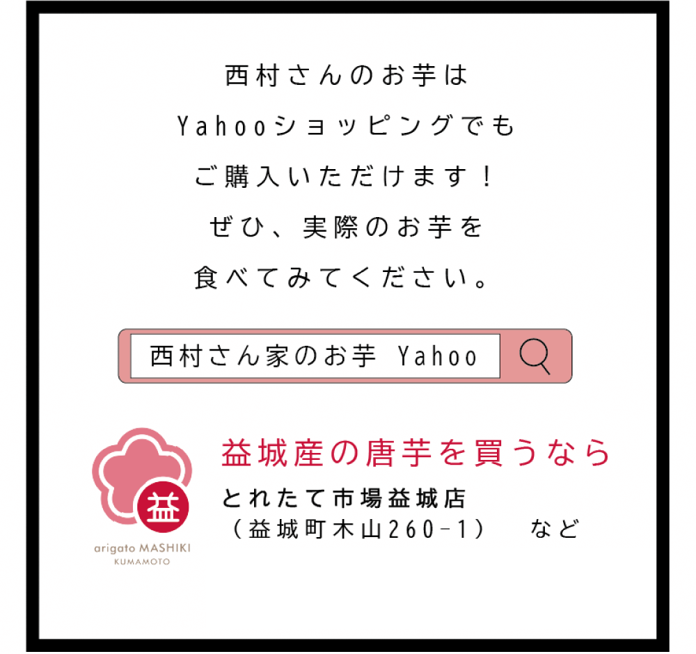 西村さんのお芋はYahooショッピングでもご購入いただけます！ ぜひ、実際のお芋を食べてみてください。西村さん家のお芋Yahooで検索 益城産の唐芋を買うなら　とれたて市場益城店（益城町木山260-1)など 