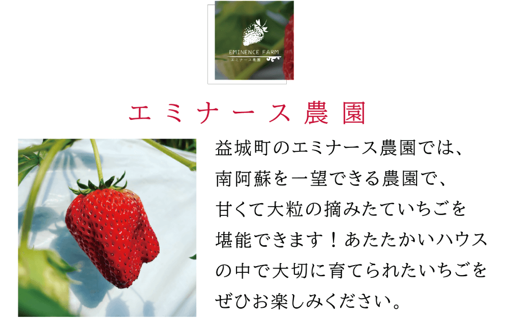 エミナース農園 益城町のエミナース農園では、 南阿蘇を一望できる農園で、 甘くて大粒の摘みたていちごを 堪能できます！あたたかいハウス の中で大切に育てられたいちごを ぜひお楽しみください。