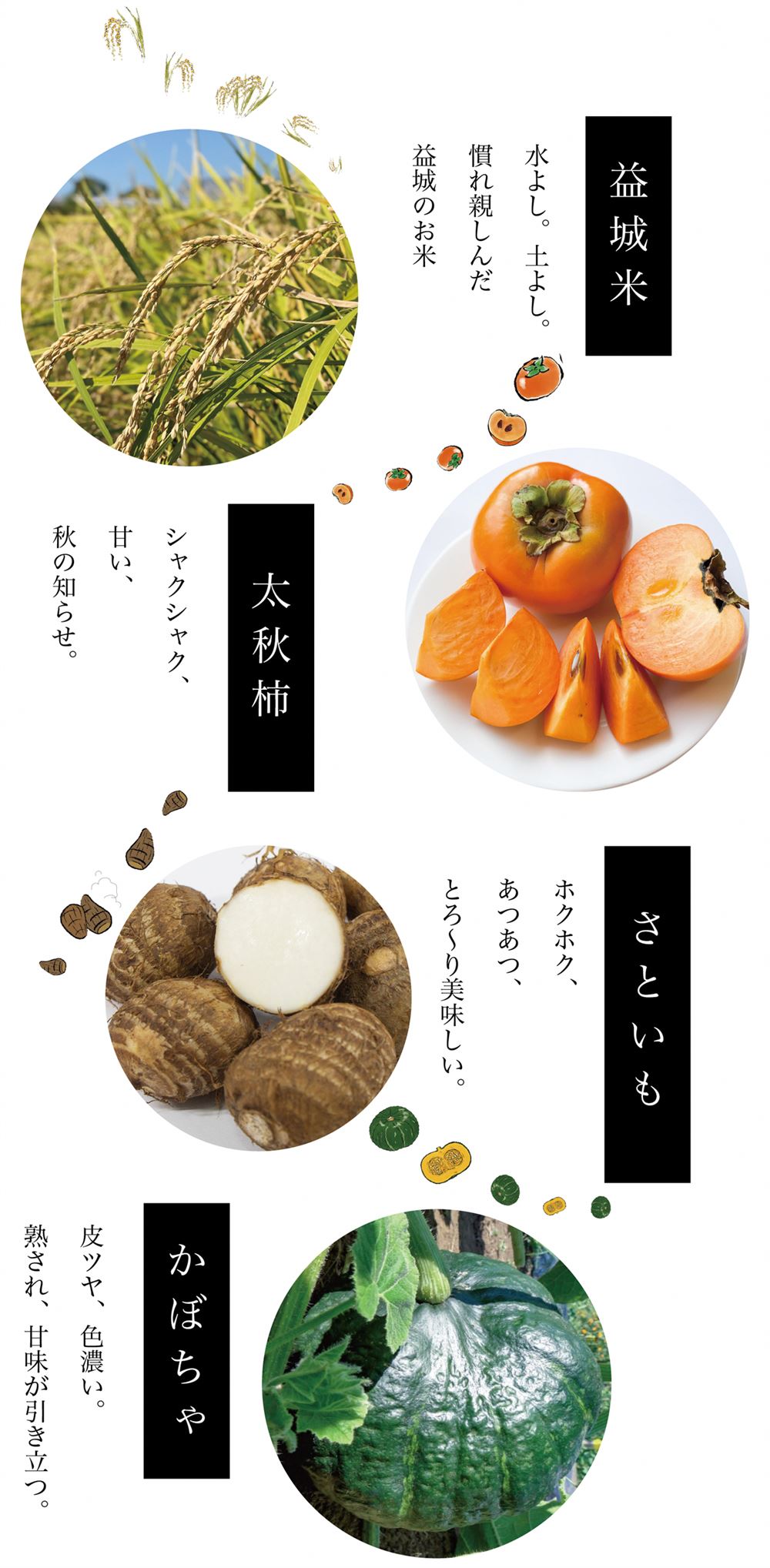 秋旬002