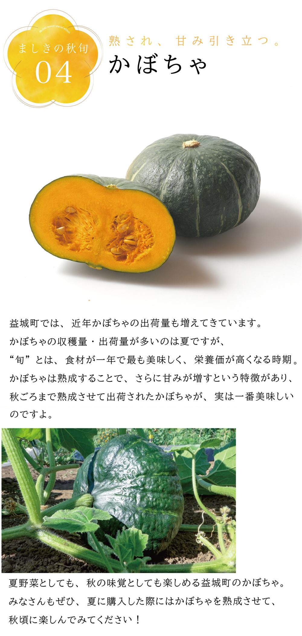 秋旬007