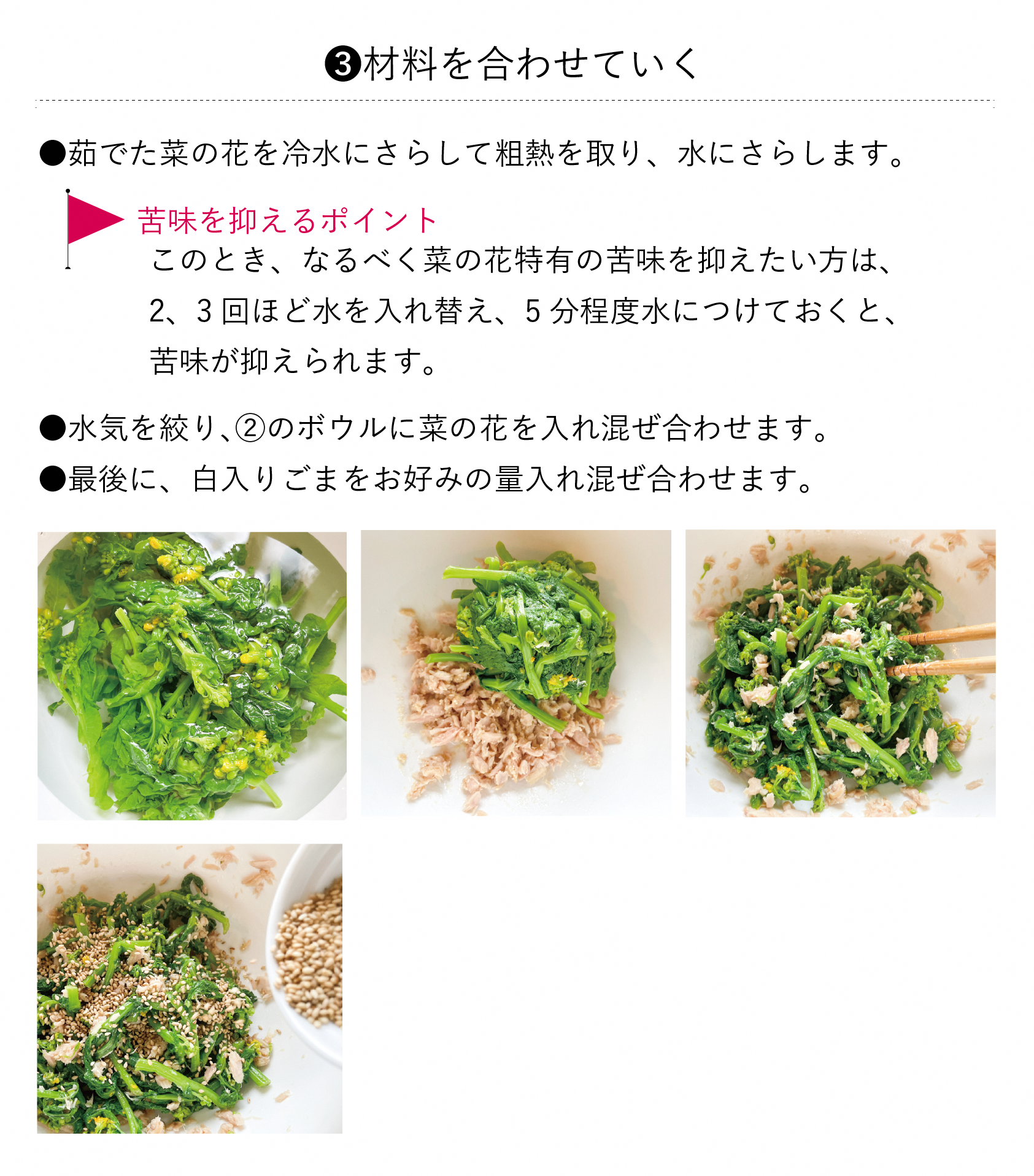 菜の花004