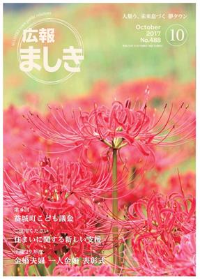 表紙の写真