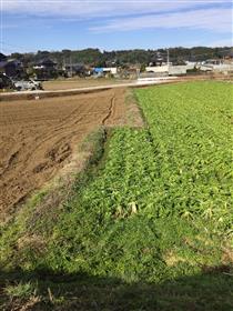 断層(堂園)
