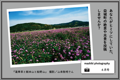 『蓮華草と飯田山と船野山』