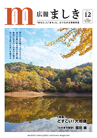 広報ましき12月号表紙　新屋敷第1堤の画像