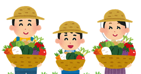 野菜収穫