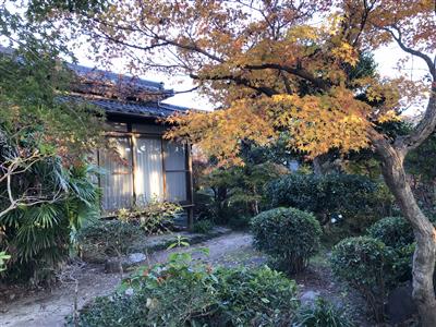 写真(2)