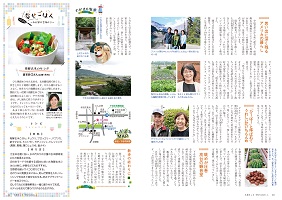 10-11ページ