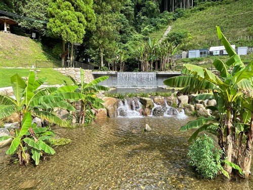 親水エリア写真①