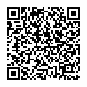 おもてなし回答フォーム