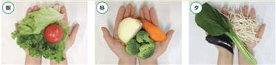 1日分の野菜の手計り