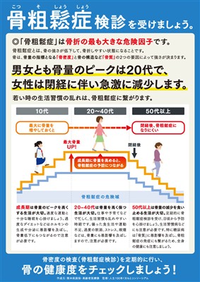骨密度の年齢ごとの変化