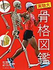 実物大 骨格図鑑